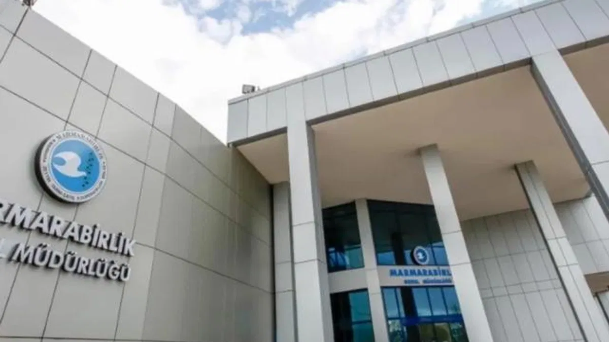 Marmarabirlik’ten zeytinciye 800 milyon TL daha… Fark ödemelerinin tarihi de belli oldu