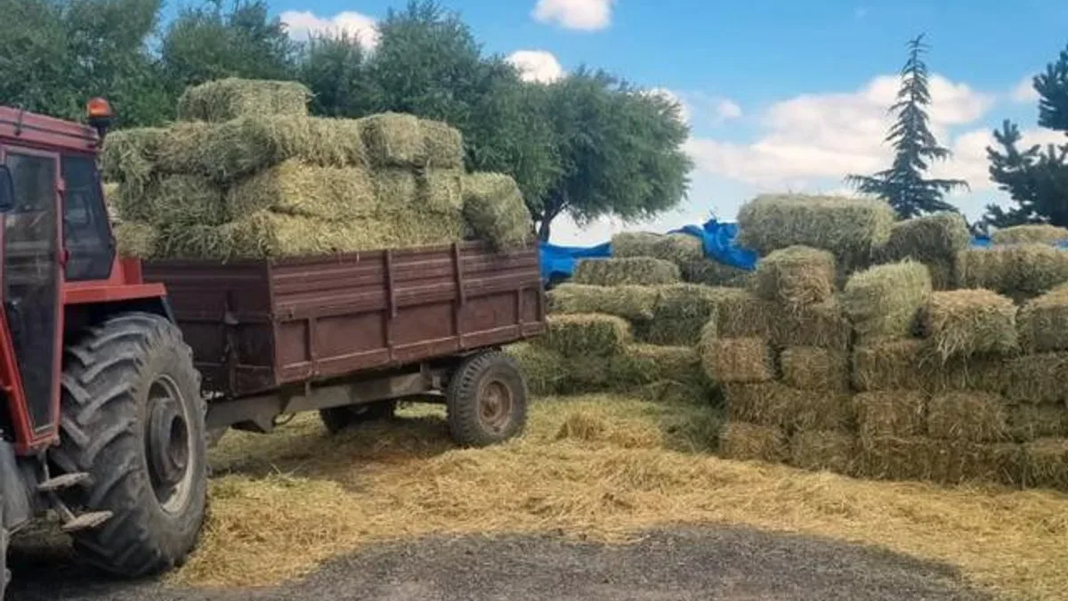Kayseri Talas’tan üreticiye yem desteği