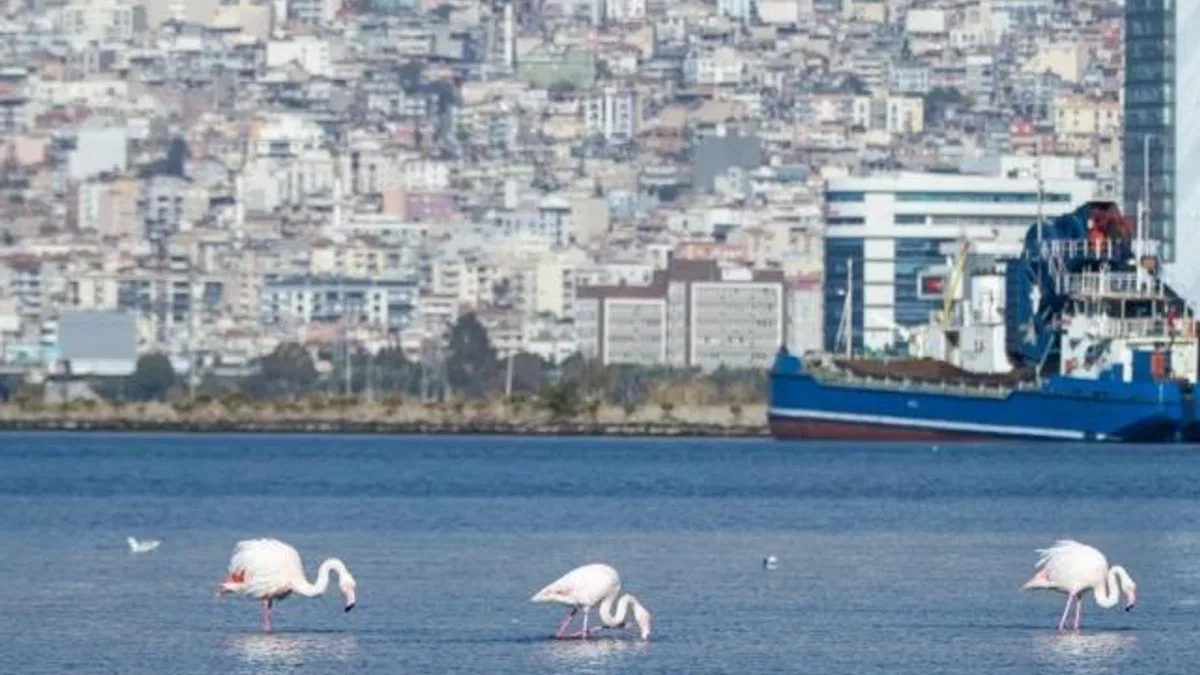 İzmir’in iklim krizi ile mücadelesi güçleniyor