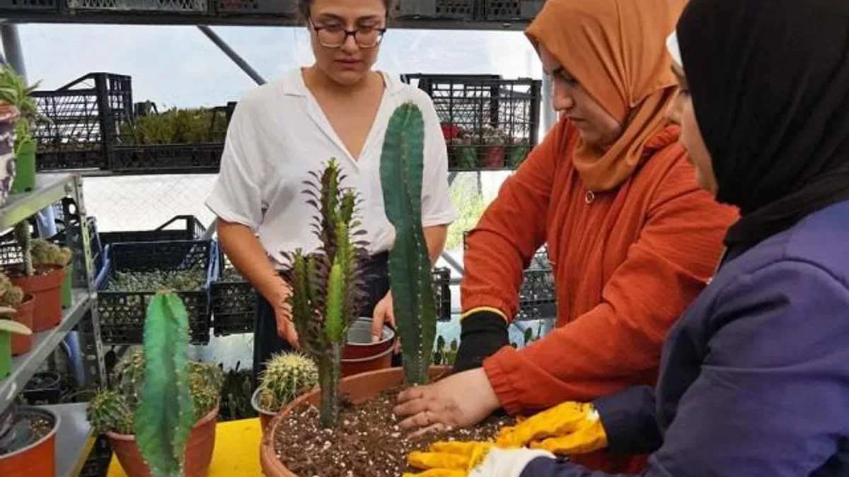 Hem tohumlar hem kadınlar güçleniyor