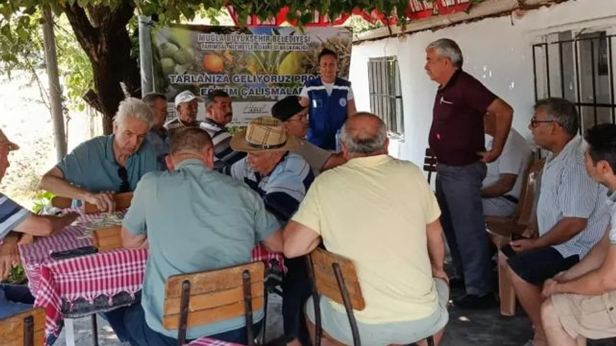 Muğla Büyükşehir’den zeytin üreticisine eğitim desteği