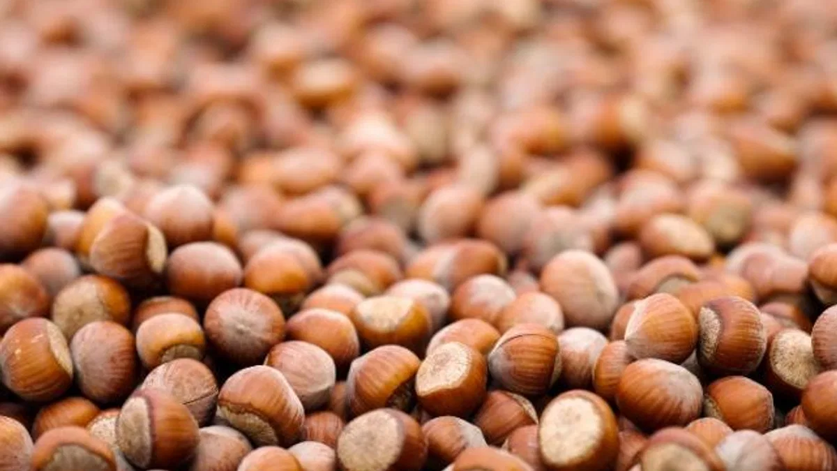 Ferrero Grubu, hedeflerine ulaşma yolunda önemli ilerleme kaydetti