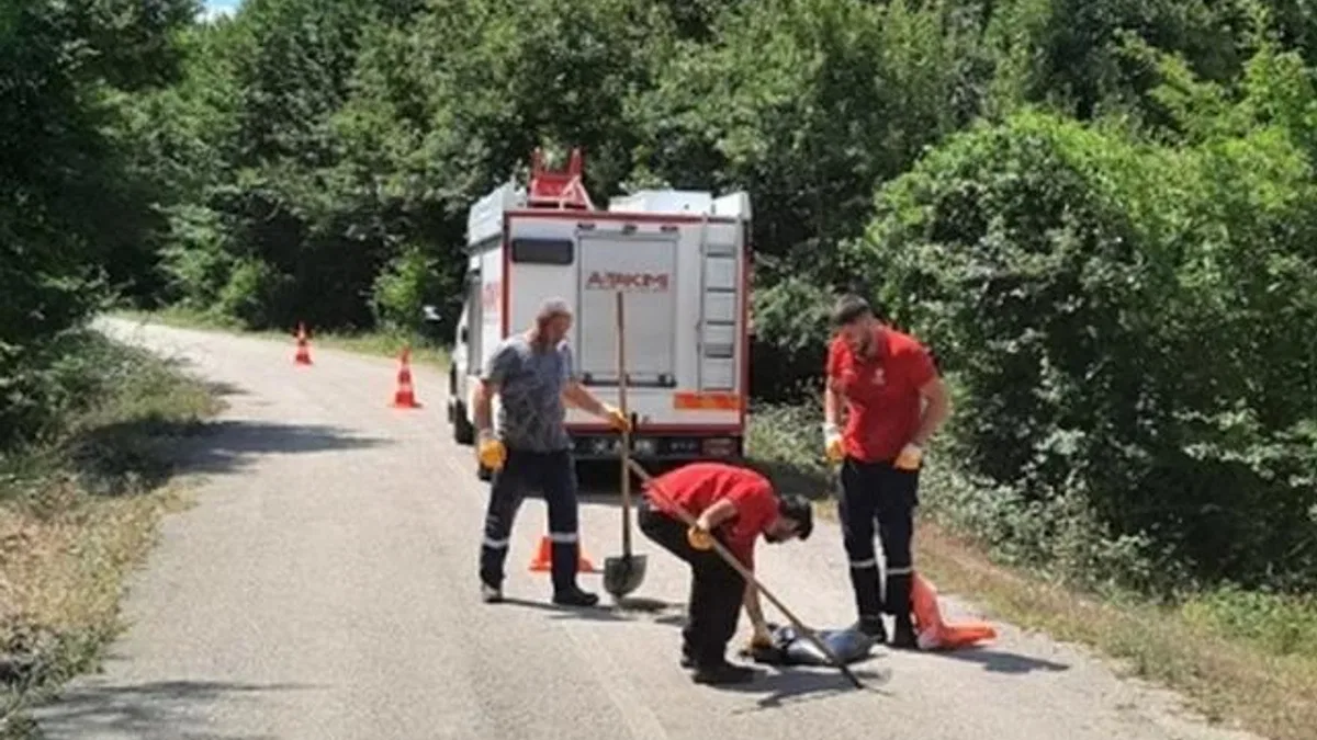 Kocaeli’nin A Takımı, yıl boyunca “Hızır” gibi yetişti