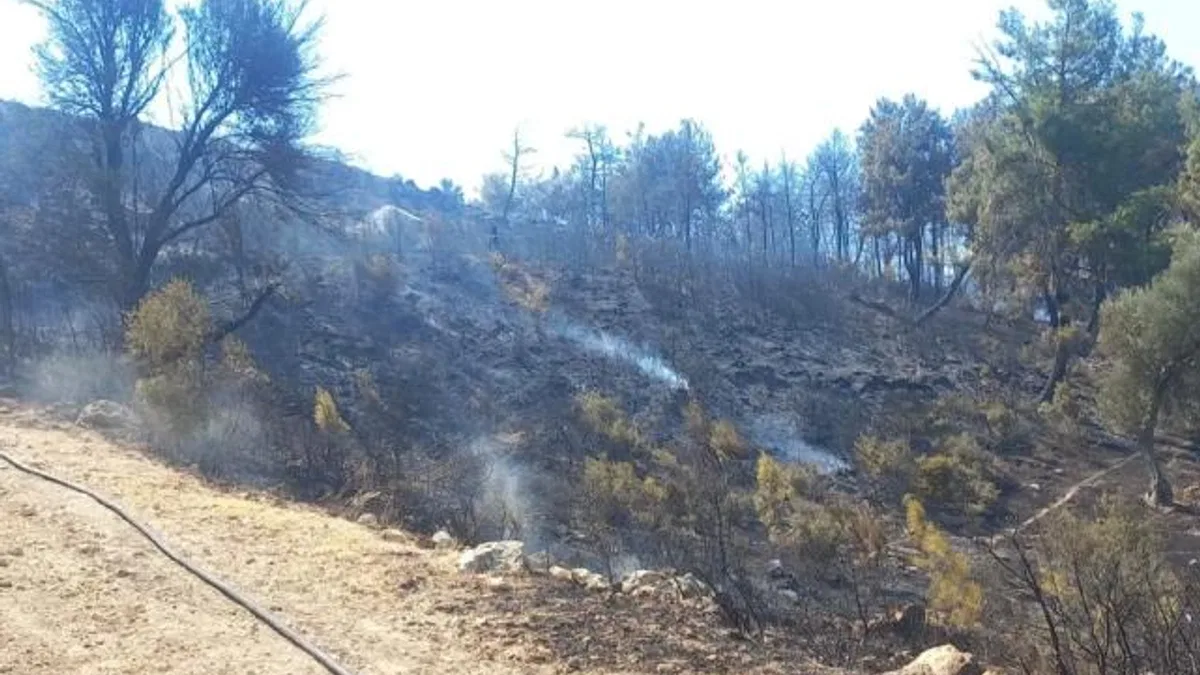Buca ve Aliağa’da çıkan yangınlar kontrol altında