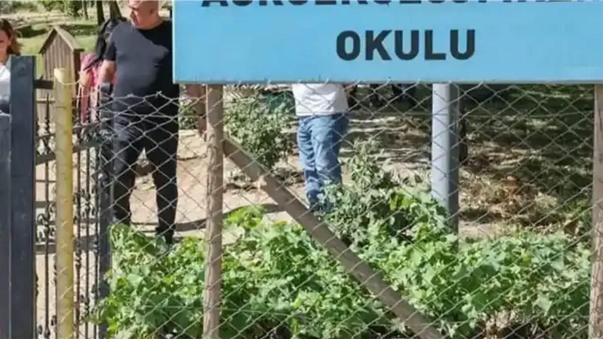 Diyarbakır’da Tıbbi Aromatik Bitki Üretim ve İşleme Tesisi