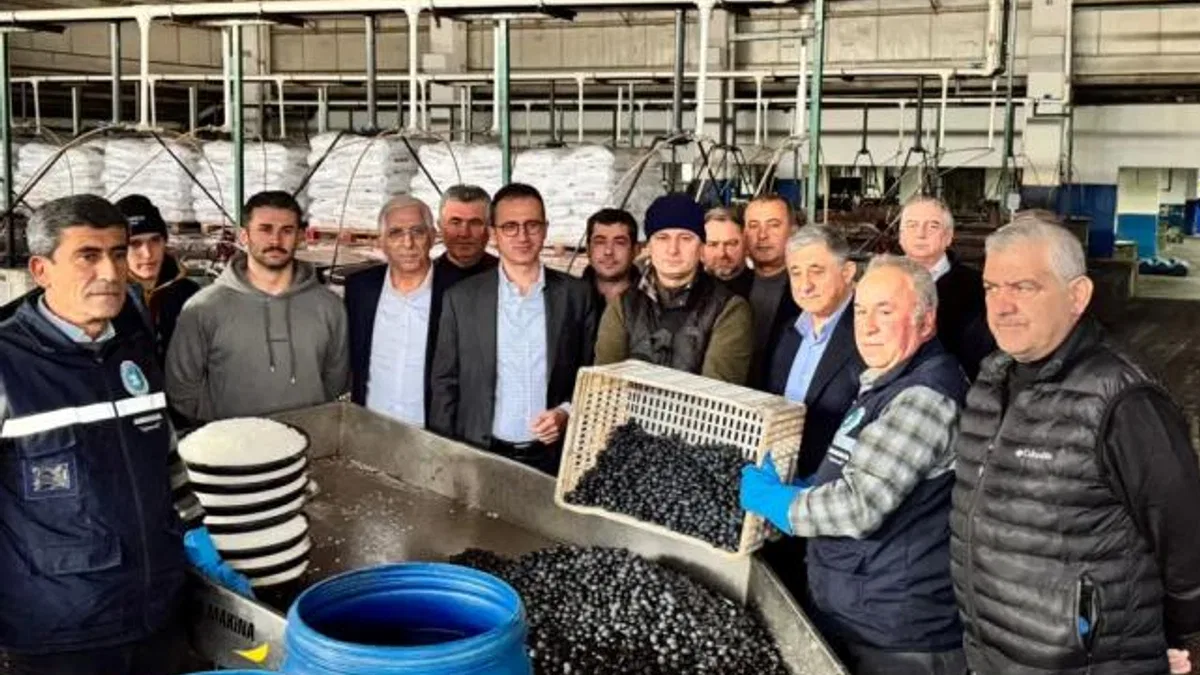 Bursa İznik’te Kaymakam Karaman’dan Zeytin Kooperatifi’ne ziyaret