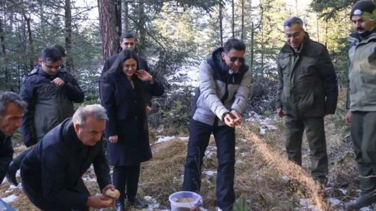 Bilecik’te yaban hayvanlarına Vali şefkati
