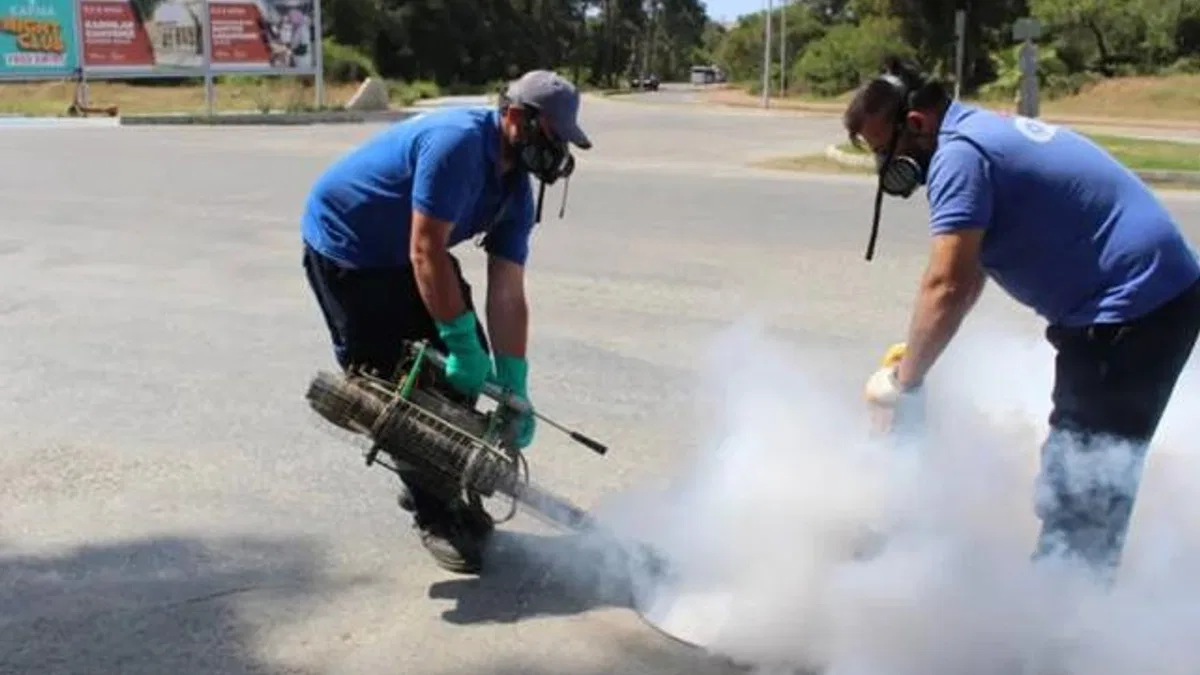 Antalya’nın tüm ilçelerinde haşereyle mücadele sürüyor