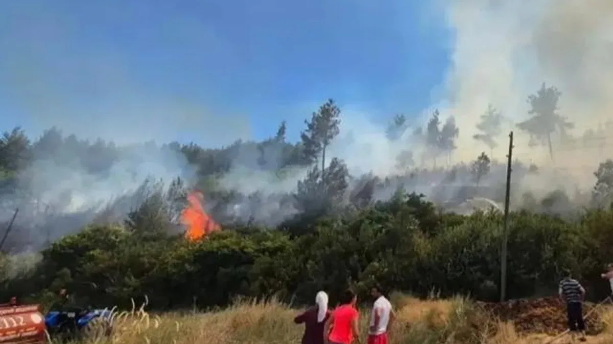 Muğla’nın yangın tankerleri aktif görevde