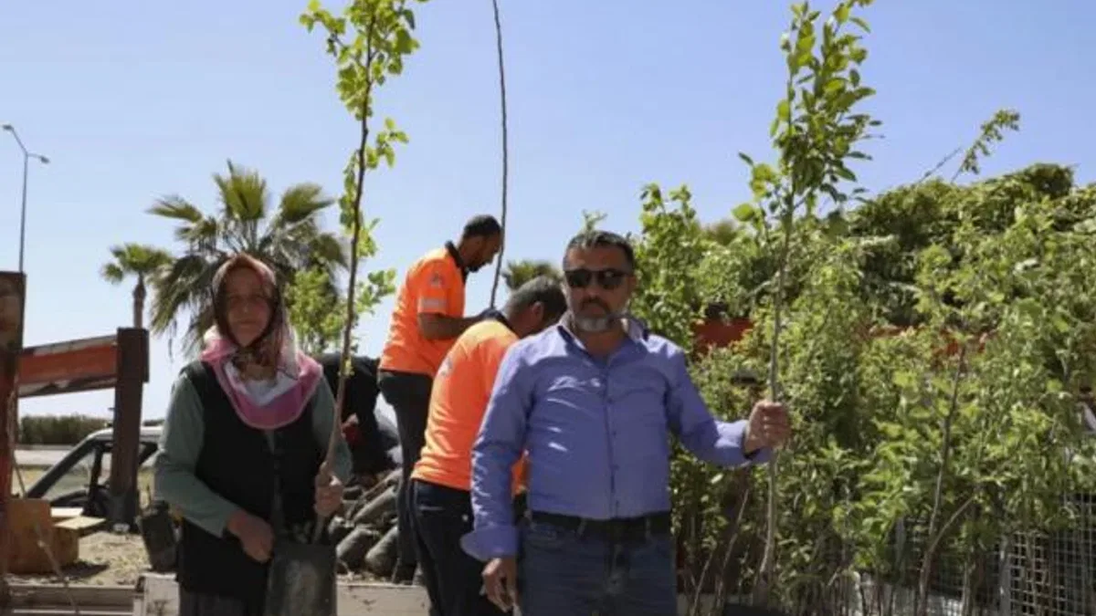 Mersinli çiftçiler Trabzon Hurması üretecek