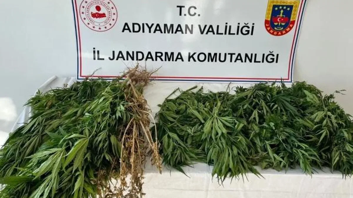Adıyaman’da kenevire 3 gözaltı