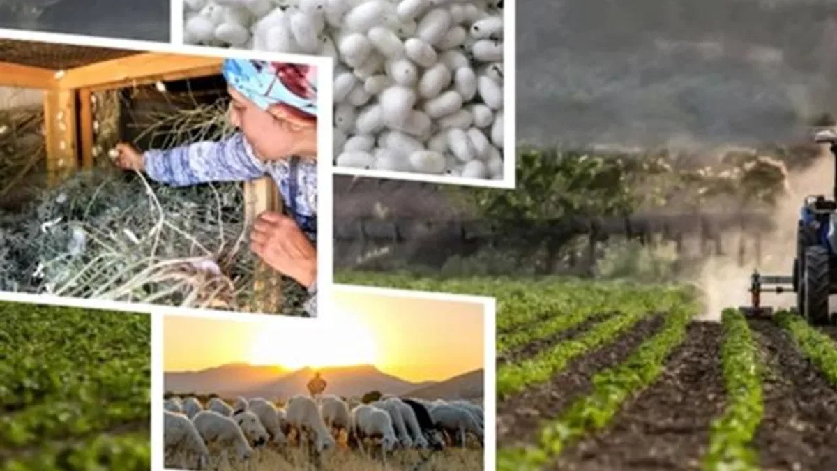 406,6 milyon TL’lik tarımsal desteklemeler hesaplarda
