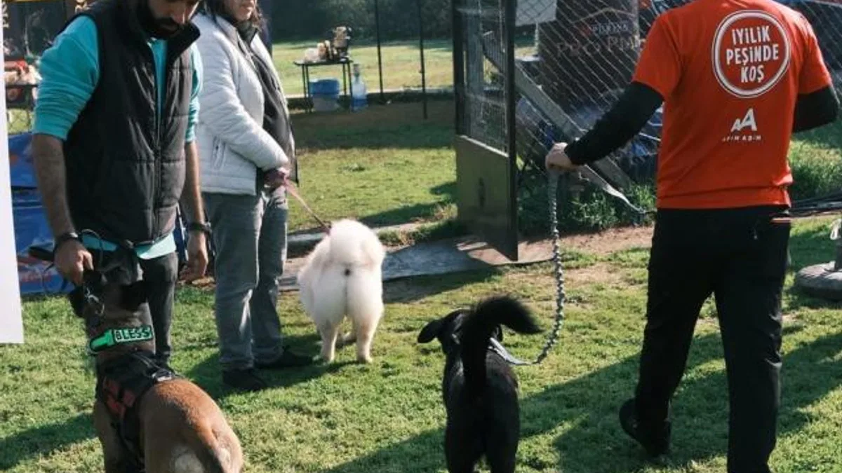 Türkiye’de ilk kez Köpekli Labirent Oryantiring yarışması yapıldı