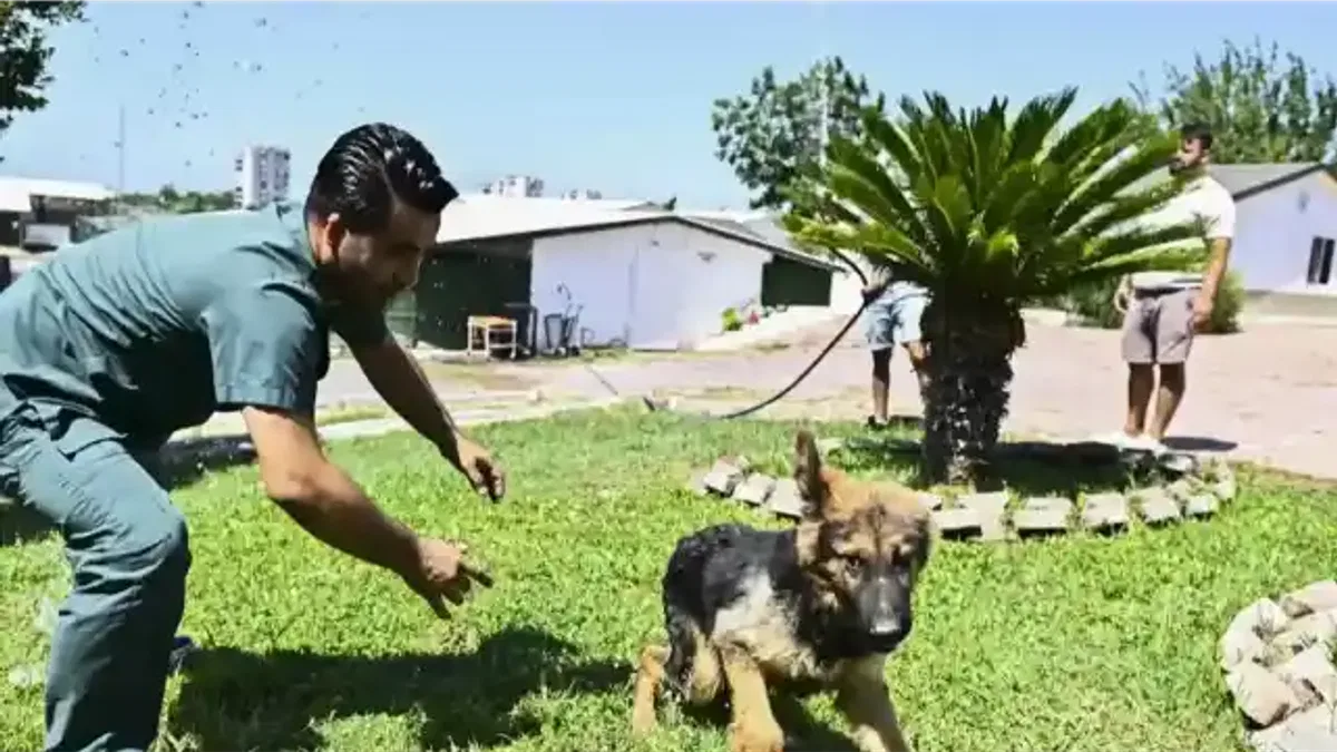 Antalya Muratpaşa’dan patili dostlara serin dokunuş
