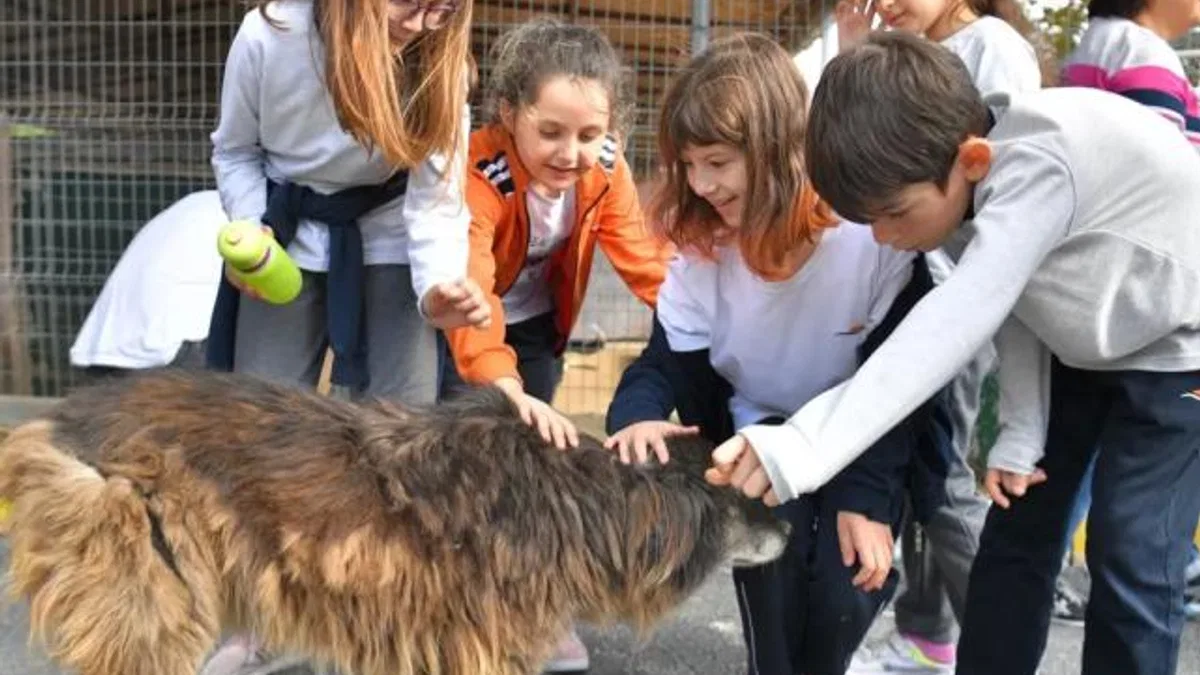 Beylikdüzü’nden o yasaya tepki!