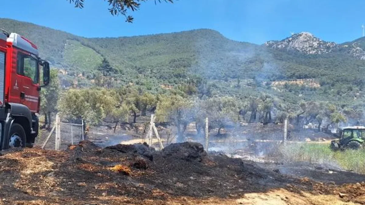 İzmir İtfaiyesi üç noktada yangınlara müdahale etti