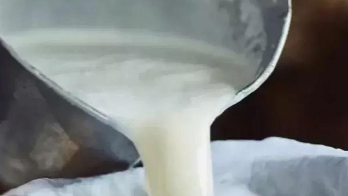 Çiğ süt üretimi 2025’te geriledi! Manda ve keçi sütü sert düştü!