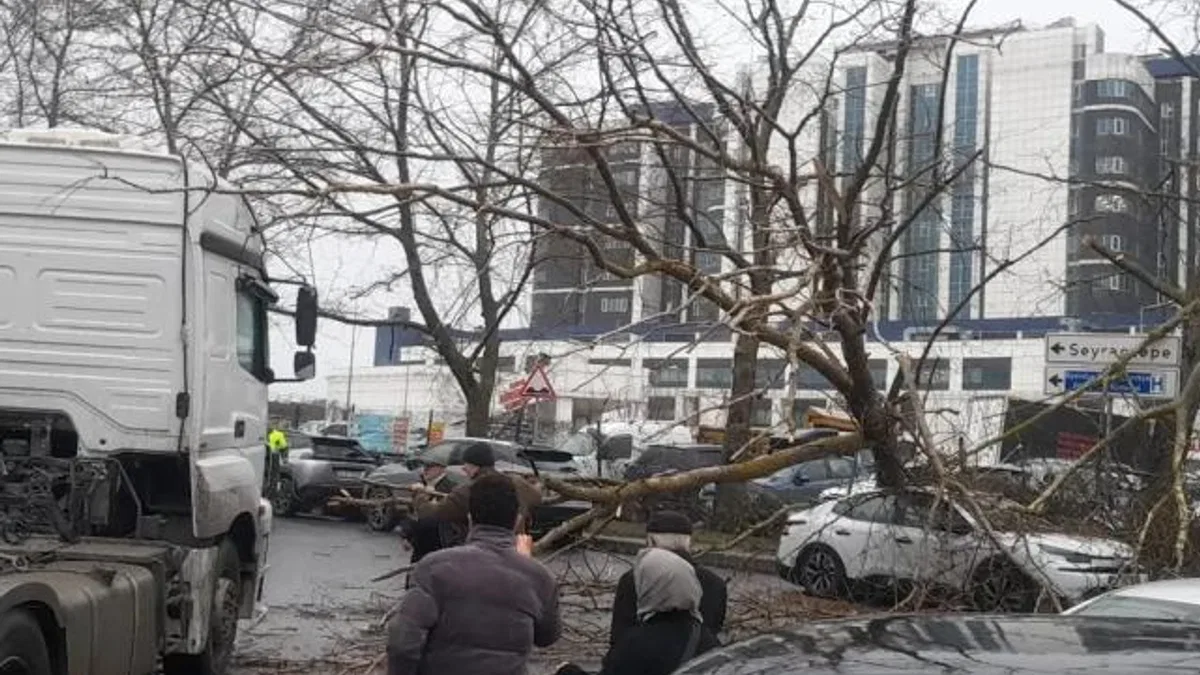 İstanbul’da fırtına: Ağaç devrildi, sahil yolları kapandı!