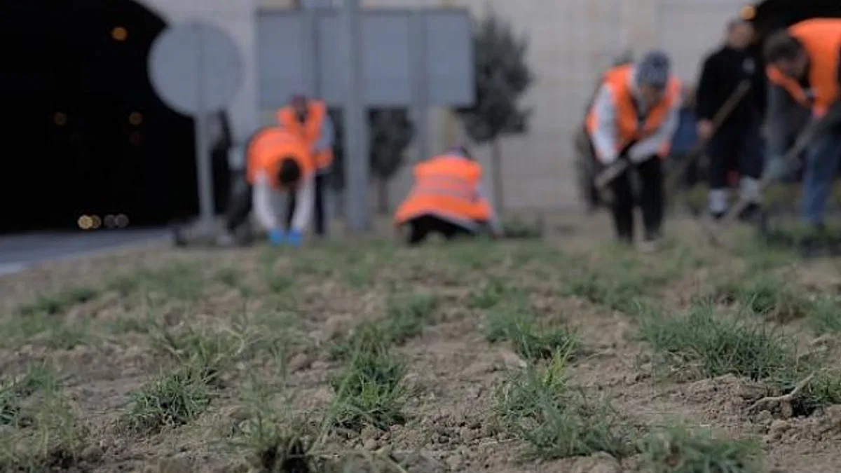 Kuraklığa karşı İzmir’in yeşil örtüsünde dönüşüm