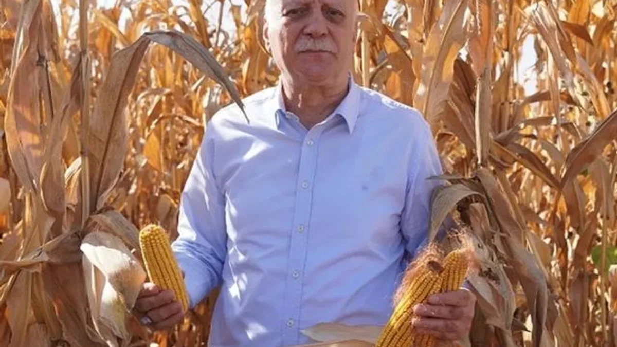 TZOB: Mısır üretimi arttırılmalı