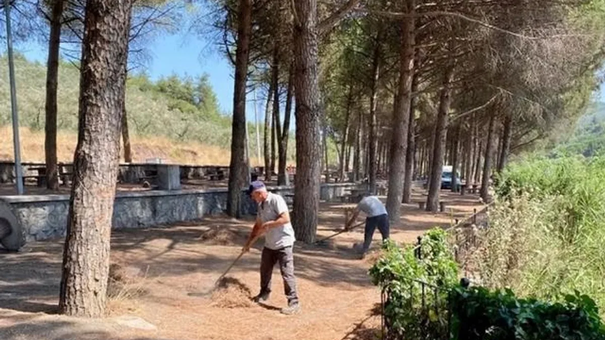 Gemlik Kurtul Piknik Alanı’nda kapsamlı temizlik
