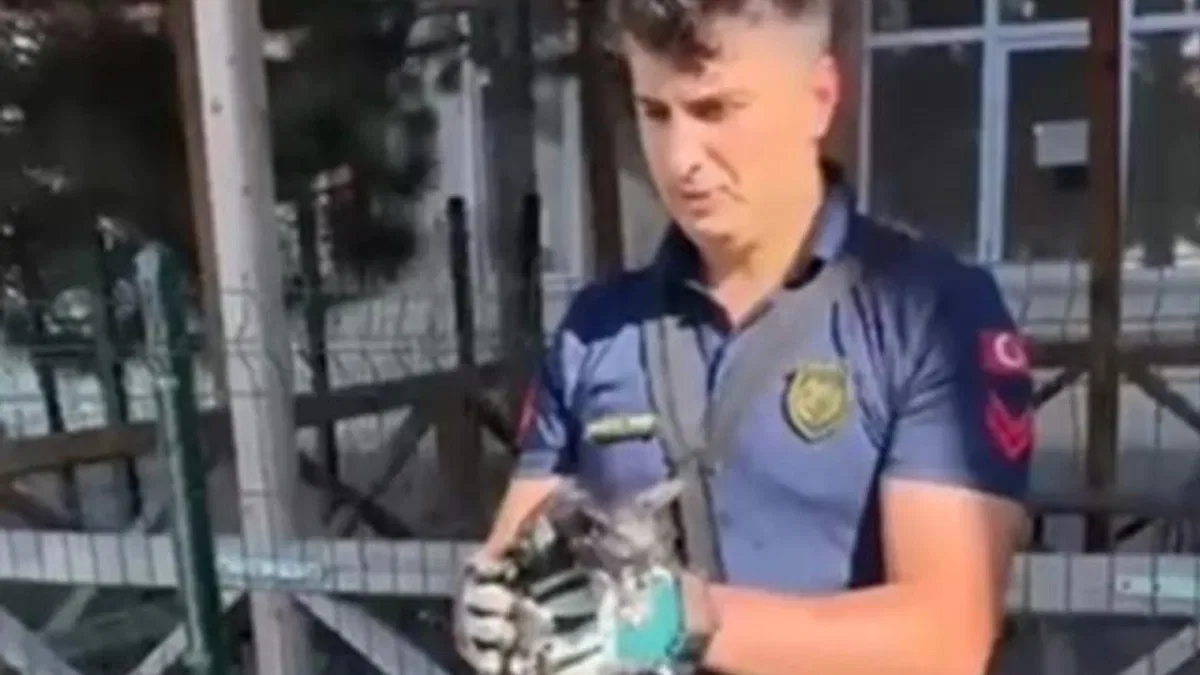 Sivas’ta düşen kediyi itfaiye ekipleri kurtardı