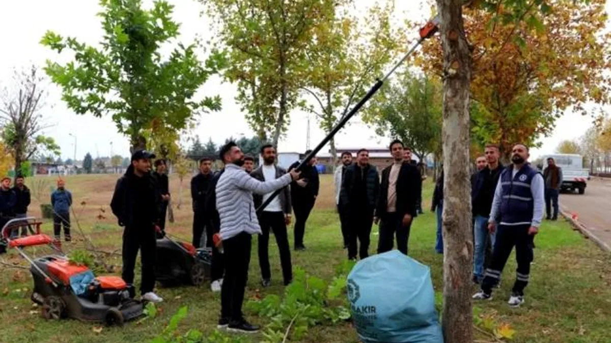 Diyarbakır’da üniversite öğrencileri sahada budama tekniklerini uygulamalı öğrendi
