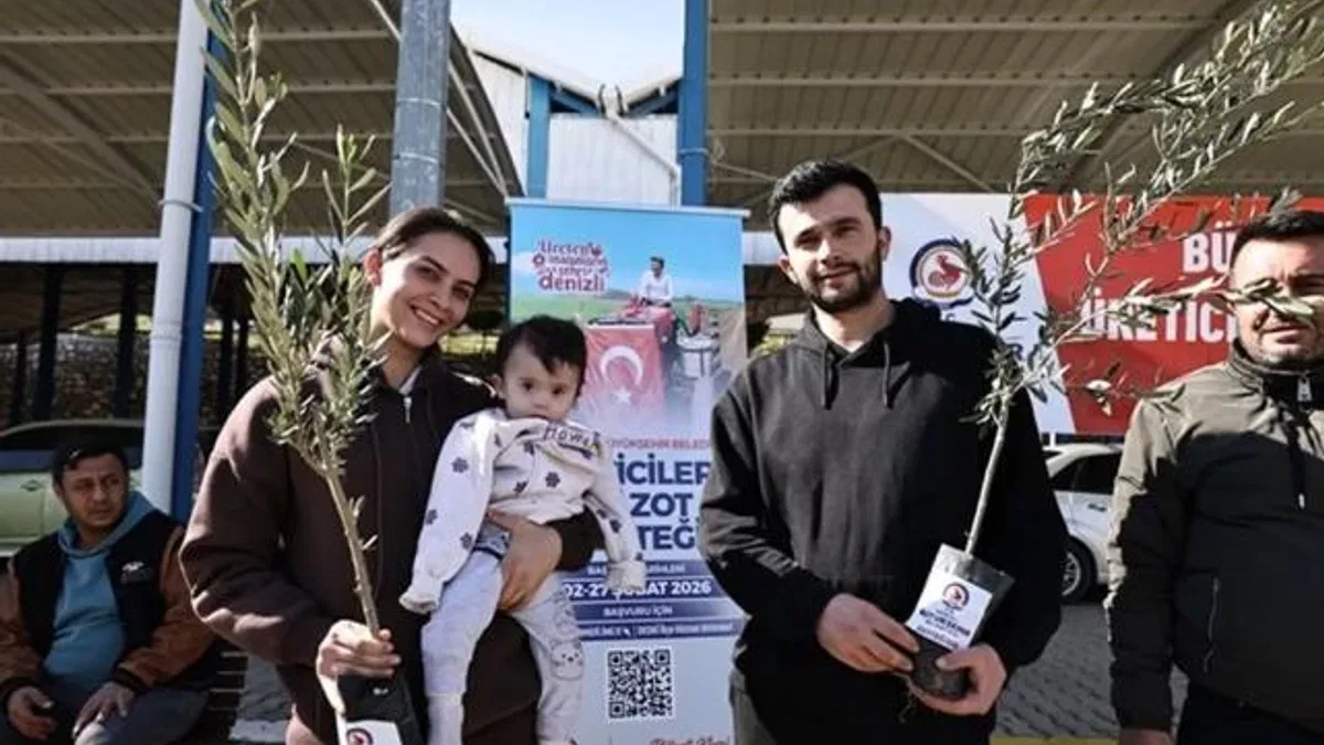 Denizli Büyükşehir’den üreticiye zeytin fidanı desteği