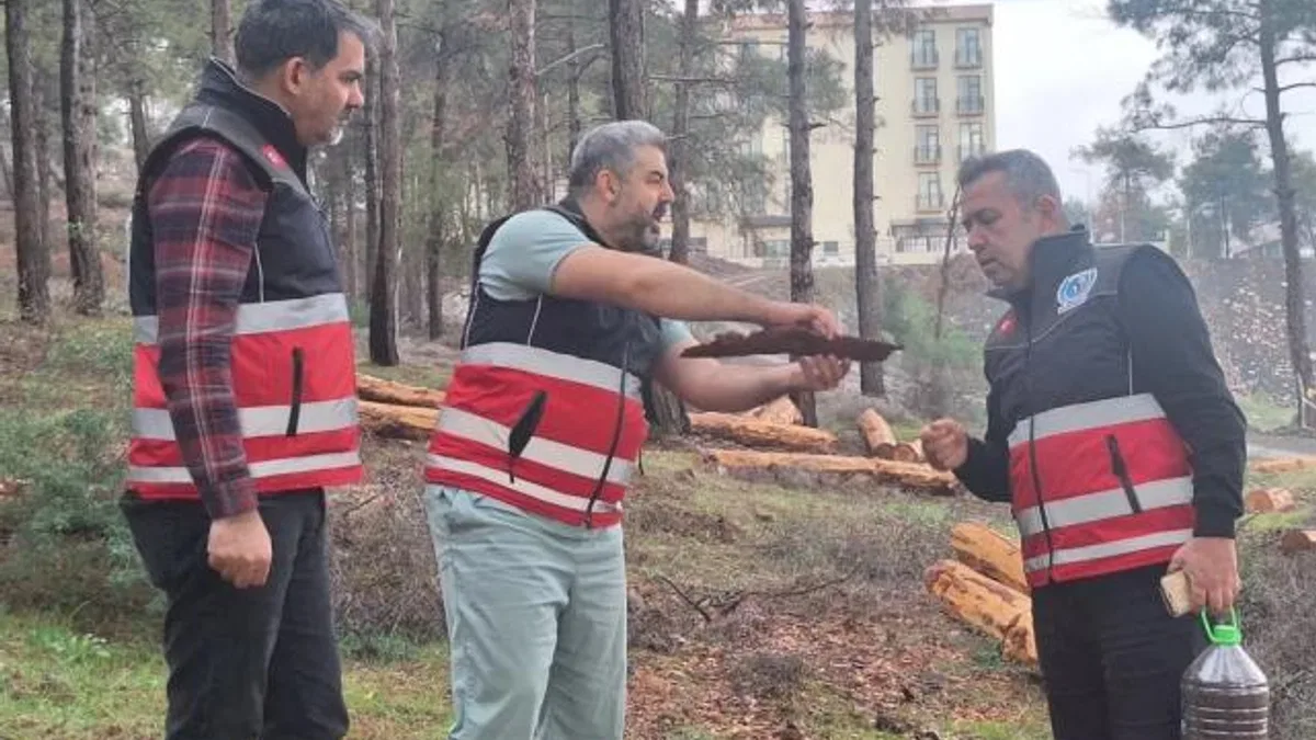 Hatay’da mücbir ağaç kesimlerine ‘Tabiatı Koruma’dan açıklama