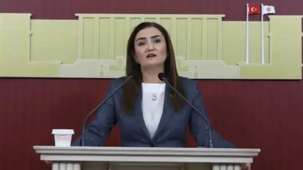 CHP Grup Başkanvekili Kılıç’tan ‘silahsızlanma’ vurgusu