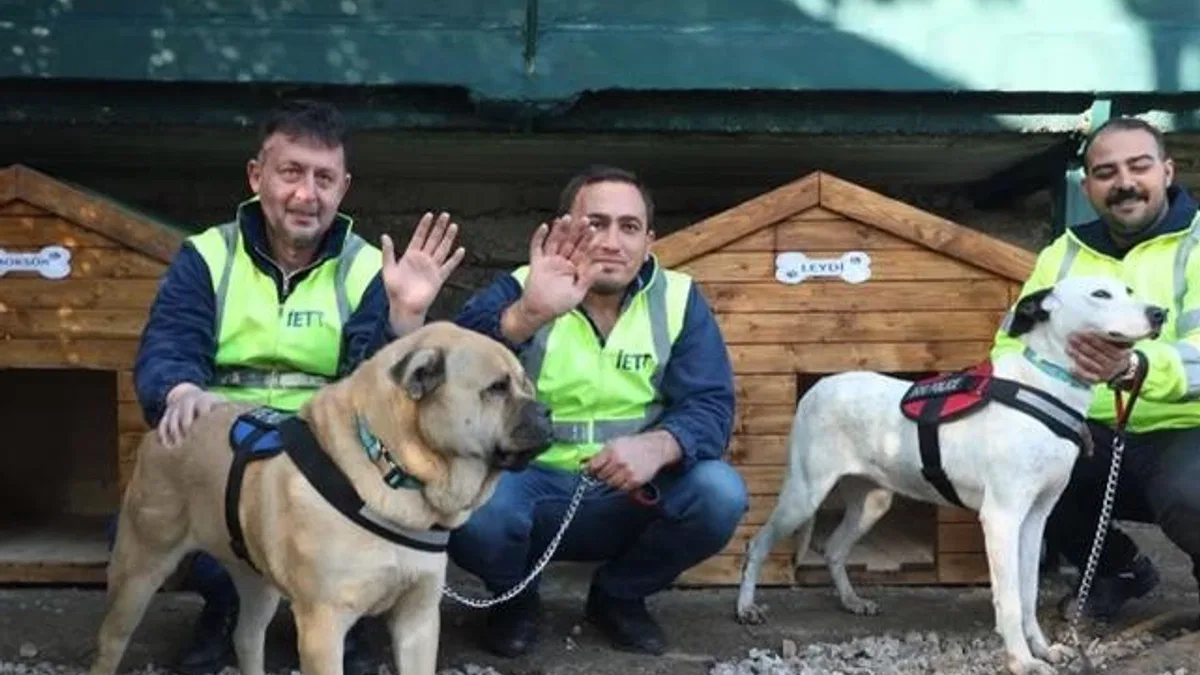 İETT’nin patili dostlar ailesi büyüyor