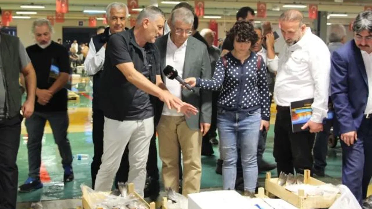 Denizde palamut bolluğu esnafın yüzünü güldürdü