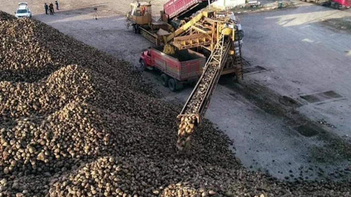 Erzurum ve Erzincan’da pancar hasadı tamamlandı