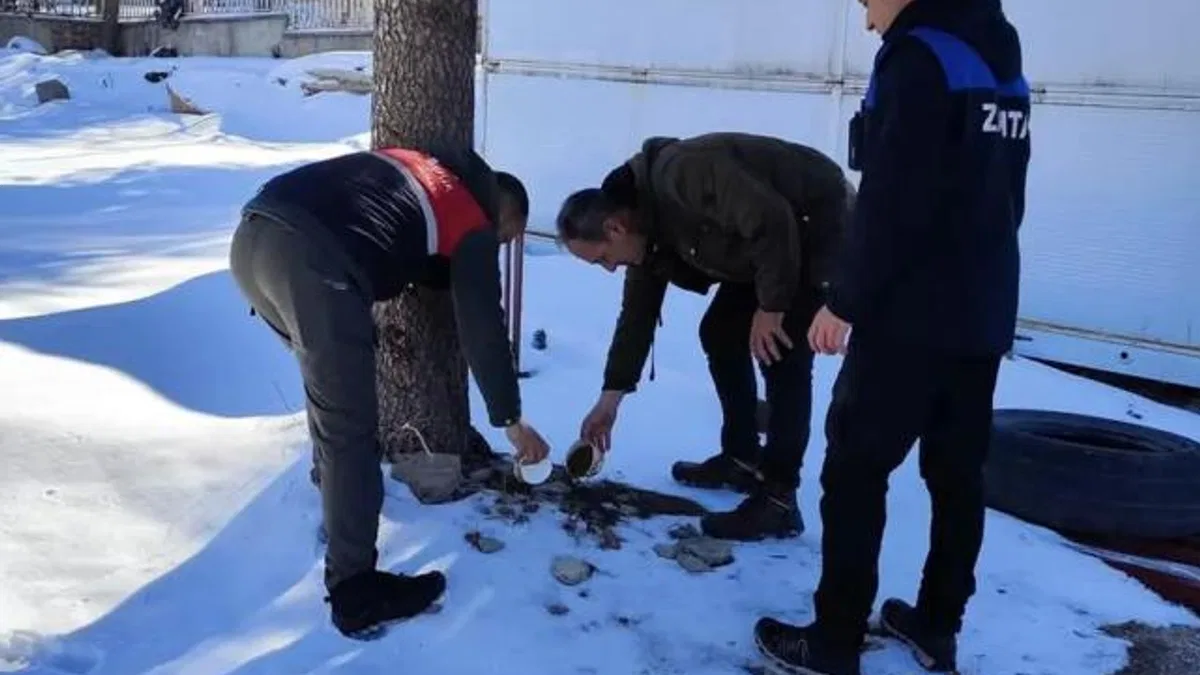Malatya’da sokak hayvanları unutulmadı
