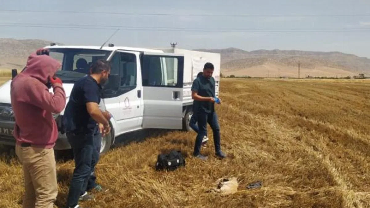 Biçerdöverin altında kalan köpek hayatını kaybetti