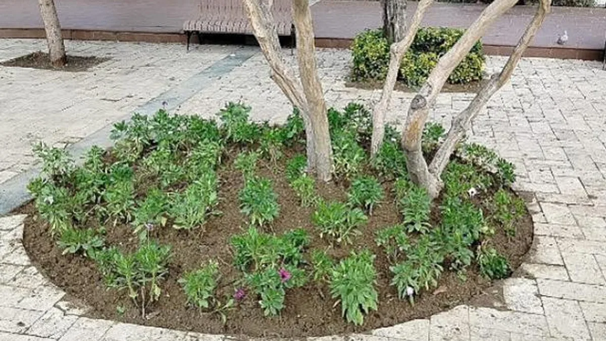 Büyükşehir’den Manisa’nın Yeşil Alanlarına Peyzaj Düzenlemesi