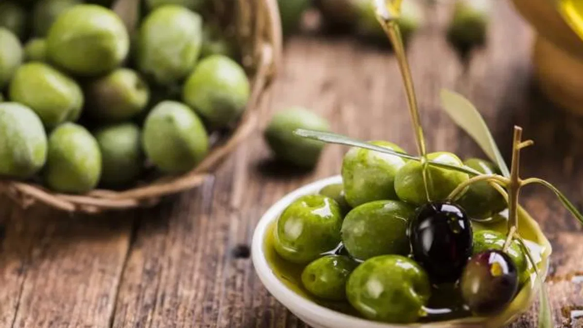 Sofralık zeytin ihracatı rekora koşuyor