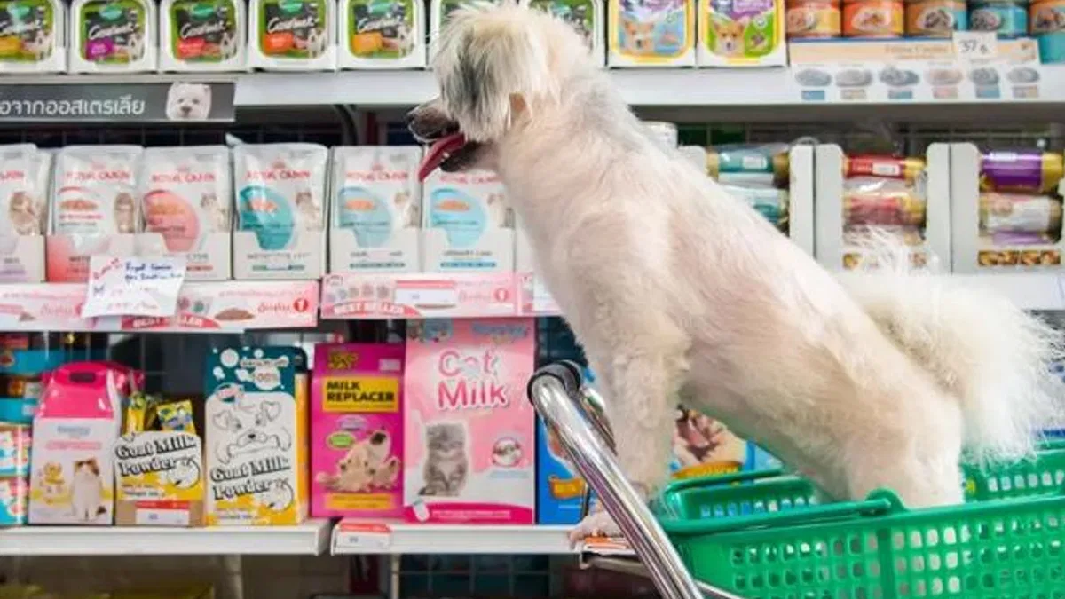 Bursa’da izinsiz petshoplara sıkı denetim