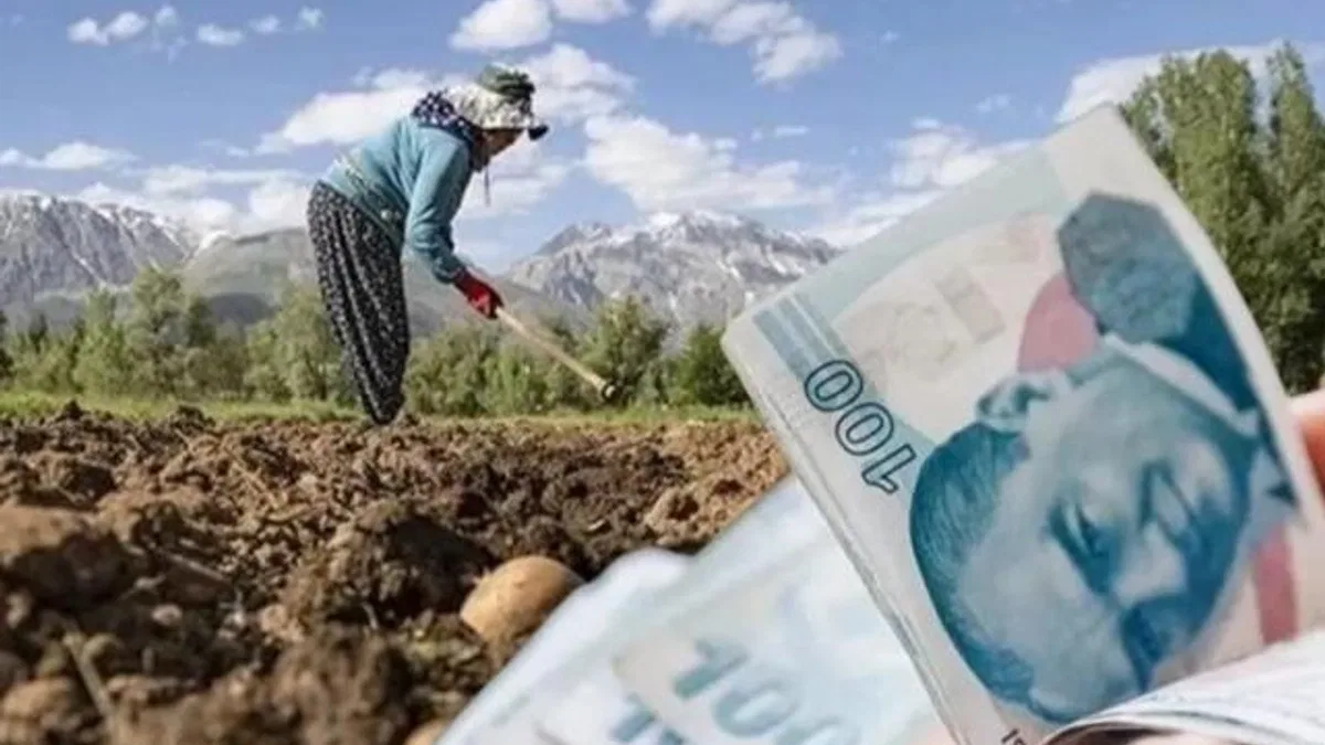 Kooperatiflere 4,5 milyar TL’lik kredi desteği