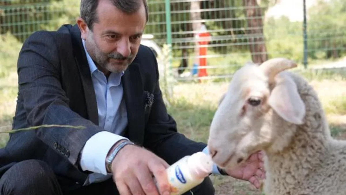 Bursa Gürsu’ya butik hayvanat bahçesi