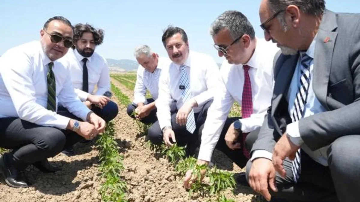 Bursa Yenişehir tarımı Afrika’ya açılıyor