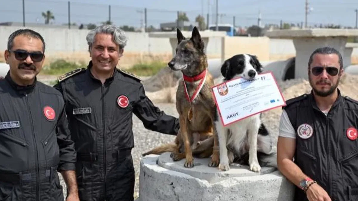 Ares ve Rex, uluslararası sınavda zirvede