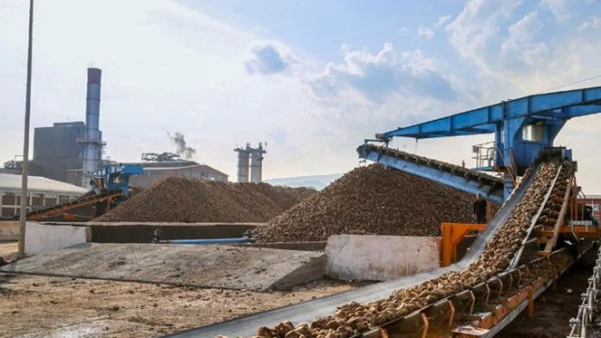 Kayseri Şeker, sadece çiftçiye değil nakliyeciye de kazandırıyor