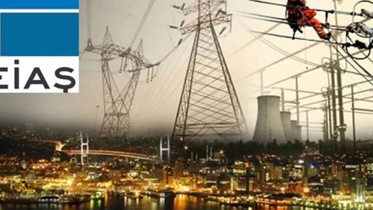 Elektrik piyasasında yan hizmetlerde yetki TEİAŞ’a devredildi