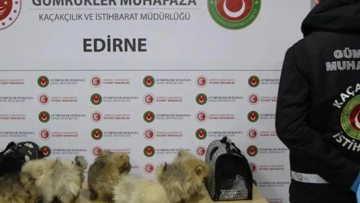Gümrüklerde yılın ilk yarısında 35,5 milyar TL’lik kaçak eşya yakalandı