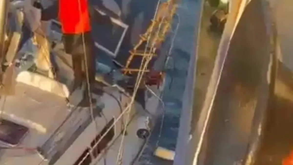 Denizde üstün cesarete IMO’dan teşekkür mektubu