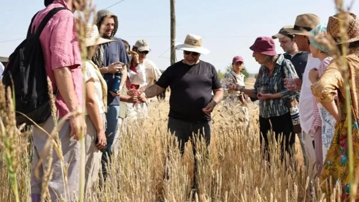 Slow Wheat Şanlıurfa 2025 coşkusu
