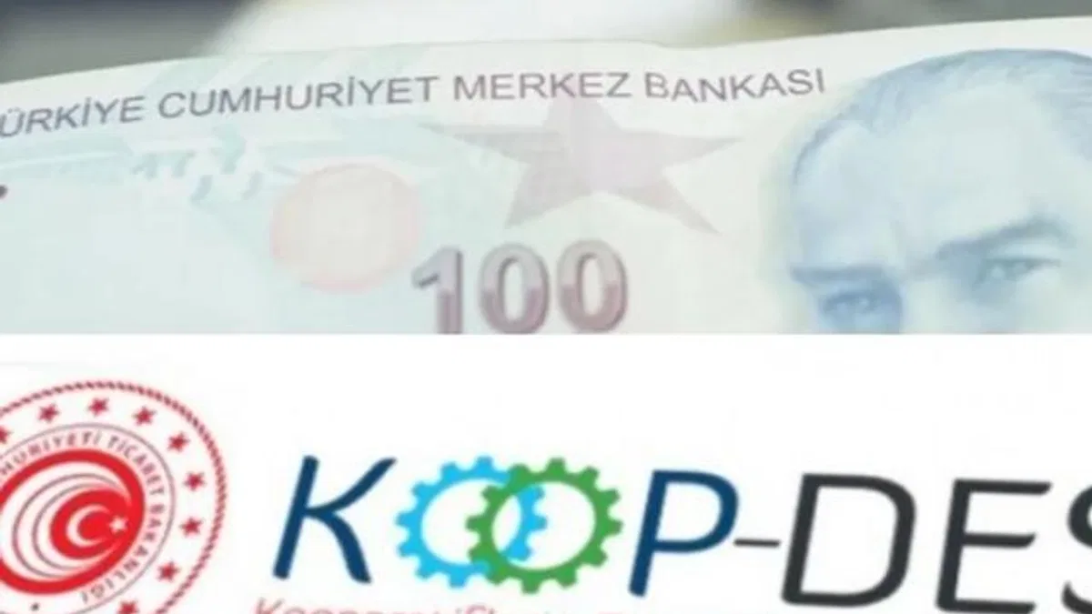 KOOP-DES Yönetmeliği’nde değişiklik Resmi Gazete’de
