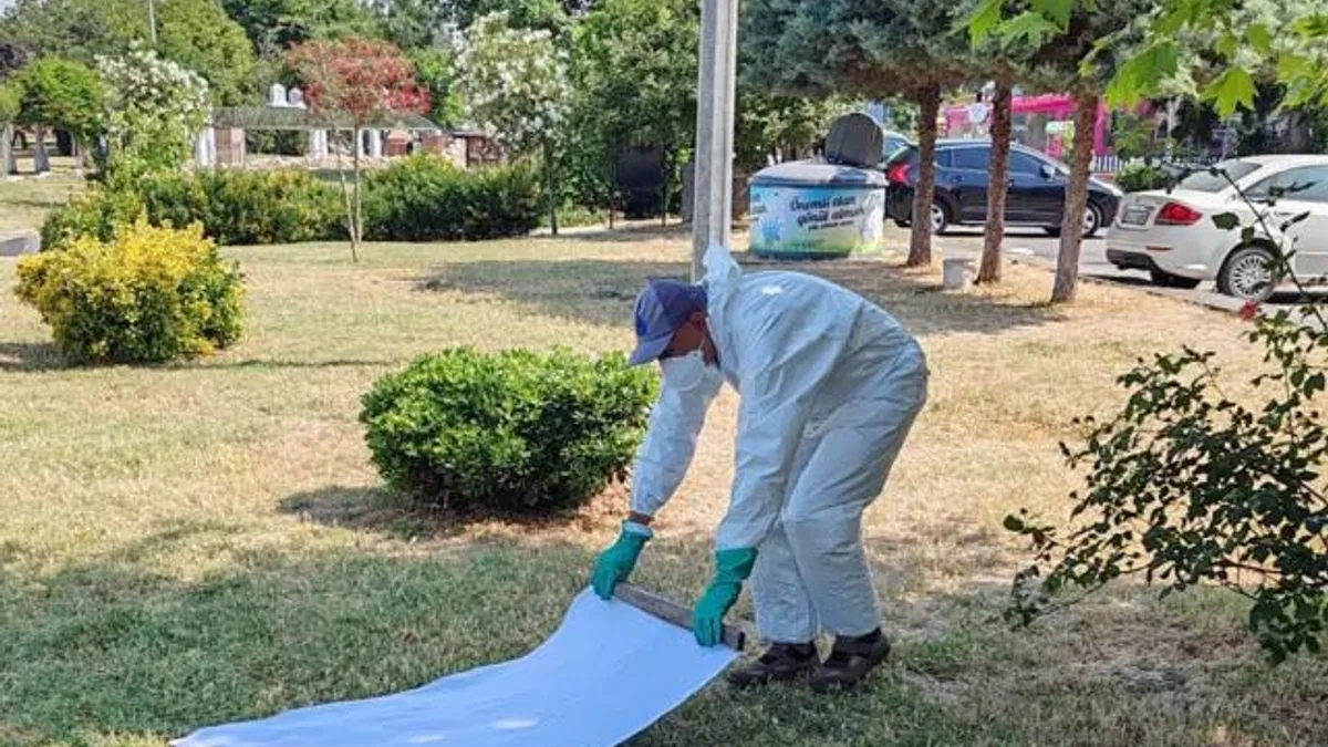 İstanbul Büyükşehir’den kene ile mücadele