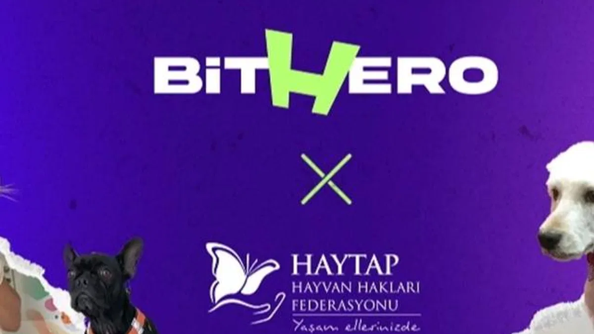 Haytap ve BitHero Kripto güçlerini birleştirdi
